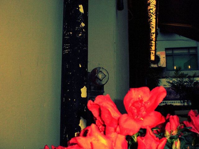 花<br />
