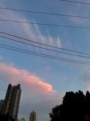 91EB4276-03B6-454A-9055-528937C60C9D/L0/001