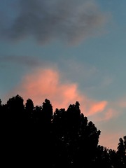 24E10206-51F6-4FD7-A76E-5BD2CE56FCF0/L0/001