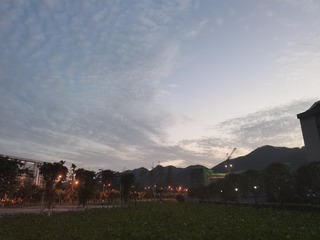 30323