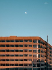 1000011671