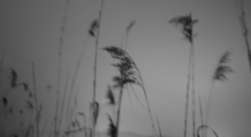 1C6C0EC5-B215-4286-BA07-C5E94225151F/L0/001