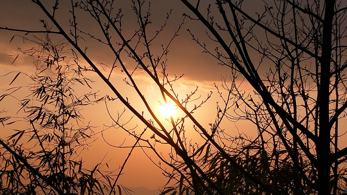 记录生活发现美丽