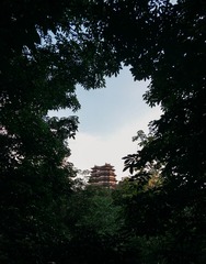 157981