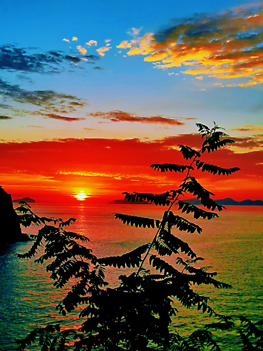 灿烂朝霞—又是一个美好的清晨,一大早(4点30)就来到了海滨东路—怡海