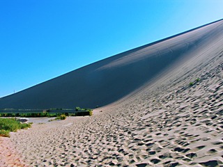 966007