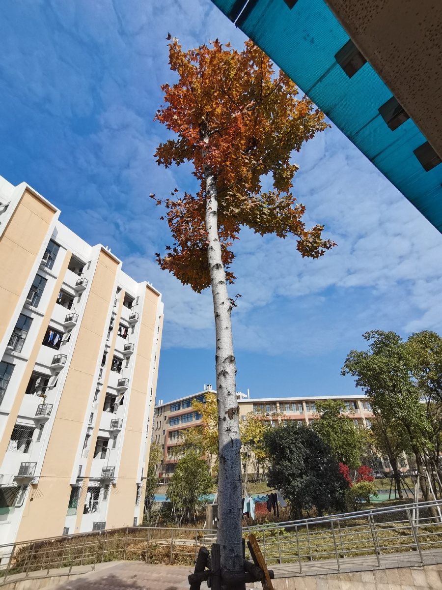 九江学院艺术学院远眺晴天图片合集心情图组