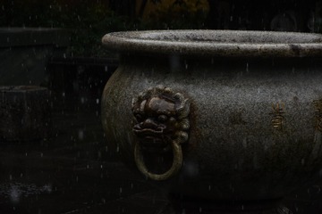 127202
