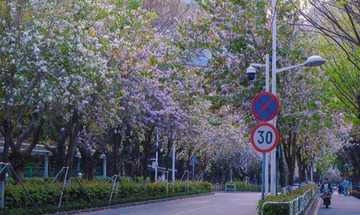 3098D6D1-A92F-4808-848C-D8F1E3AD0C71/L0/001