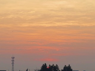 7FAE3515-1E86-4BDA-902F-9E683ADA78F7/L0/001