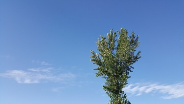 1AC3D9DB-449C-4BC9-9B40-67260530CC7D/L0/001