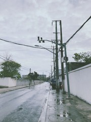 B53A2B15-B998-491B-BC55-FE71CCF0BE01/L0/001