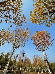 5F818B7F-DA2D-49A1-9579-D0D1FE172C48/L0/001