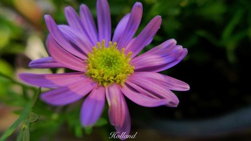 1D6F001B-F460-462D-A9A1-058F2CB9536A/L0/001