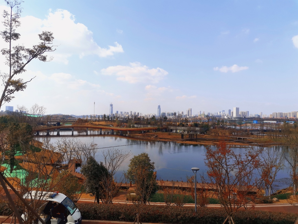 天府新区鹿溪智谷生态湿地公园