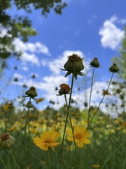 D06ED3AE-5774-4D26-A78B-2781CC148542/L0/001