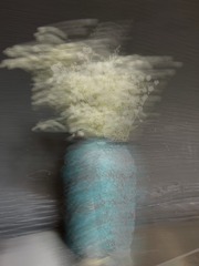 69A4B556-6267-45C1-9968-991C958B03F9/L0/001