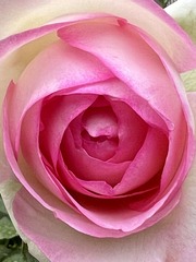 D70CB93F-046E-4AB0-B236-F79BA27A5994/L0/001