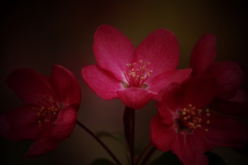 8014E425-3C36-426F-B5A6-D5FA36ECA0E2/L0/001