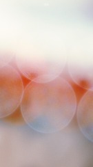 E162604B-05C5-4714-AAA5-C32AB83C48C9/L0/001