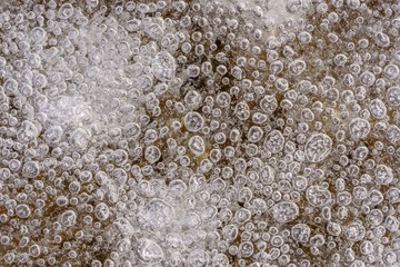 20111119-IMG_8358.jpg