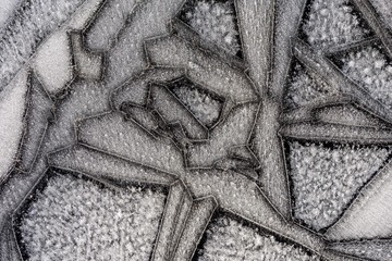 20111119-IMG_8698.jpg
