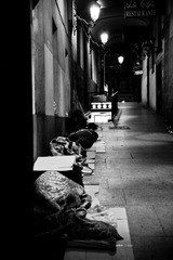 20111119-IMG_8268-2.jpg