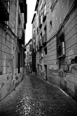 20111119-IMG_8483.jpg
