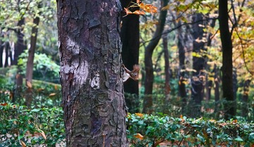 20111120-IMG_9044.jpg