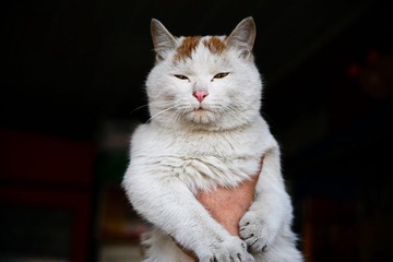 20111222-IMG_1116.jpg