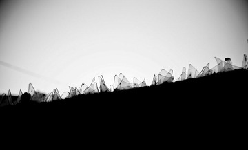 20111230-IMG_0606.jpg