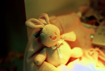 兔子。。