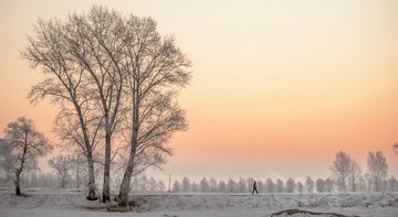 _DSC0060