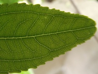 940601