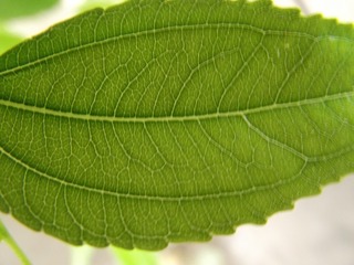 940602