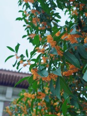 4E6253B7-E384-462F-8EBD-7BCE8C9F74CF/L0/001