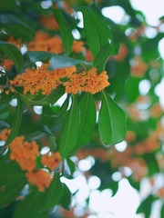 D006E187-0ABC-48C6-8AB4-B450D5A32402/L0/001