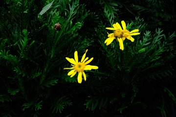 5E2D7C44-85F3-4221-8FD4-80BBFA8CA0D4/L0/001