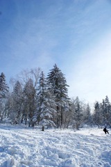 DSC02538.jpg
