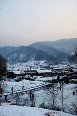 DSC02298.jpg