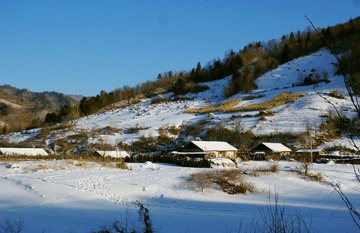 DSC02332.jpg