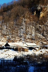 DSC02336.jpg