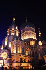 DSC02874.jpg