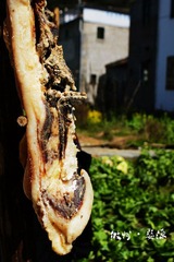 DSC03484.jpg