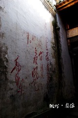 DSC03521.jpg