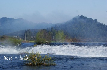DSC03842.jpg