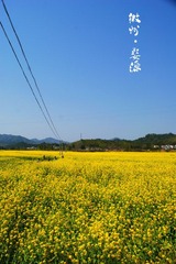 DSC04110.jpg