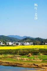 DSC03896.jpg