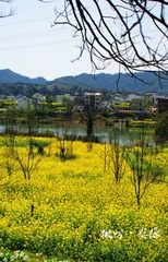 DSC03997.jpg
