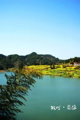 DSC04036.jpg